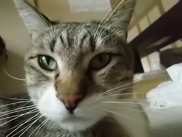 小さい頃の動画と 「♪時代♫」_f0316507_21000193.jpg