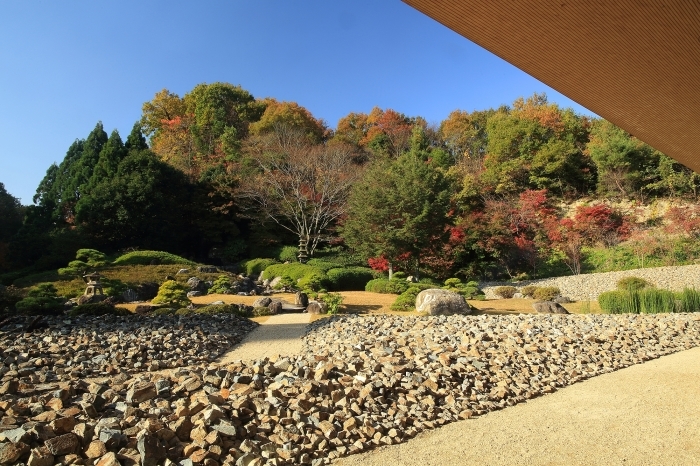 ”臨済宗建仁寺派神勝禅寺 「洸庭/kohtei」 の紅葉 そのⅠ_a0140608_08160530.jpg