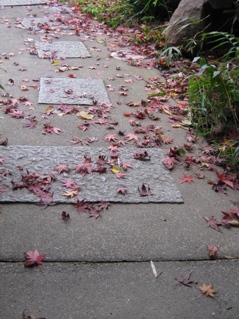 f0173908_171589.jpg