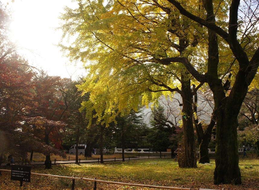 b0112909_2023334.jpg