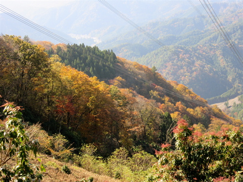 a0164011_18183862.jpg