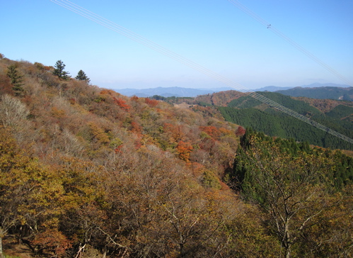 a0164011_1818504.jpg