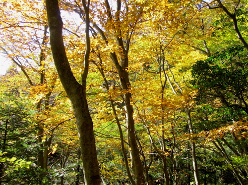 a0164011_18195315.jpg