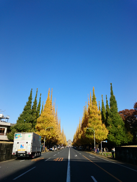 f0100911_2253266.jpg