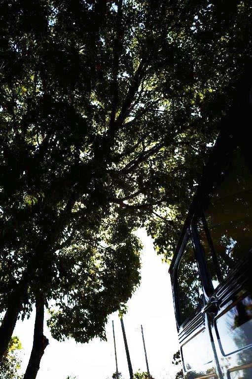 f0365212_21335369.jpg