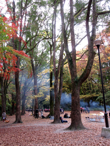 紅葉探訪22　下鴨神社など_e0048413_19181110.jpg