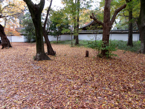 紅葉探訪22 下鴨神社など_e0048413_19182359.jpg