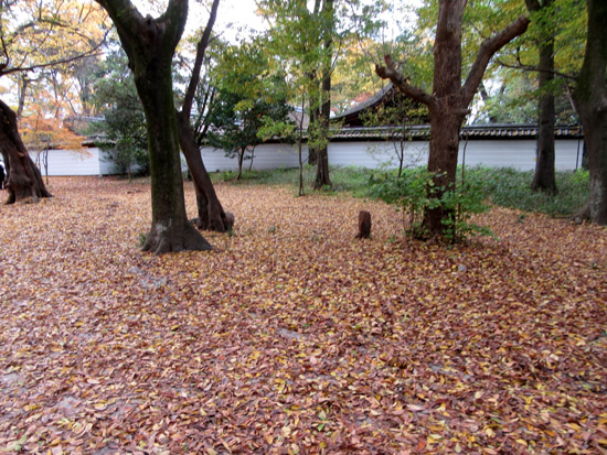 紅葉探訪22　下鴨神社など_e0048413_19182359.jpg