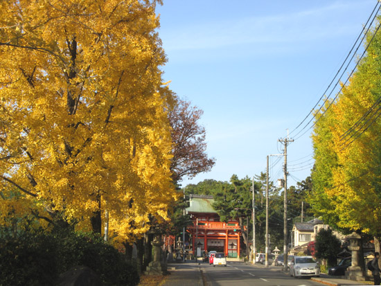 紅葉探訪22　下鴨神社など_e0048413_19191041.jpg