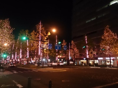 御堂筋のイルミネーションを見て(岡)_f0354314_21071106.jpg