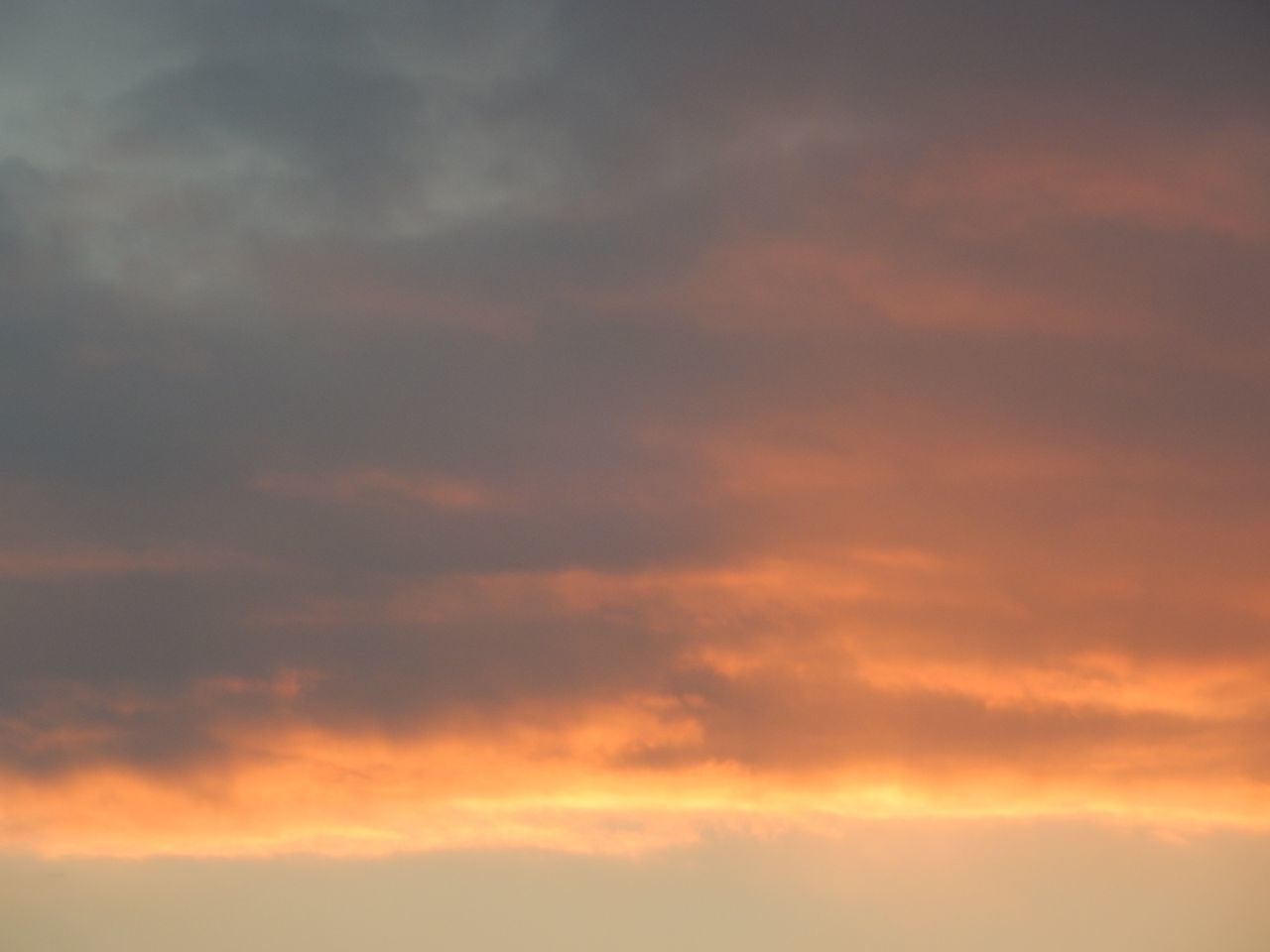 c0025115_20232133.jpg