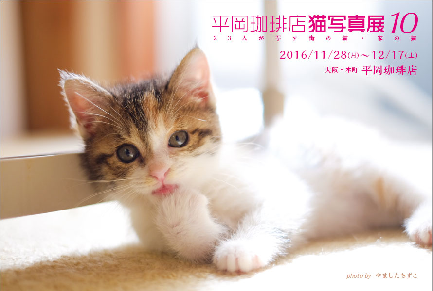「平岡珈琲店猫写真展10」に参加します！_c0136217_10555840.jpg