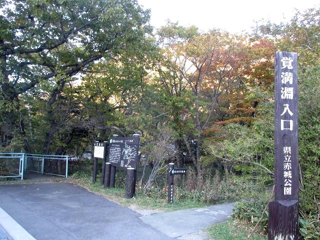 前橋市　赤城山　環境ガイド養成講座で歩いた出張峠から陣笠山　　　　　Debari to Jingasa in Mount Akagi_f0308721_1374674.jpg