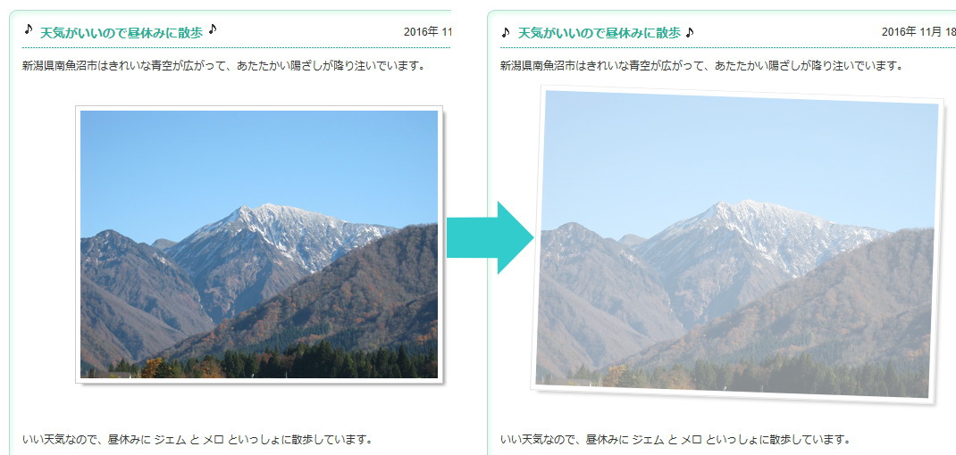 画像に動きがあるロールオーバー効果(マウスオーバー効果)をつける方法 _d0015124_18313482.jpg