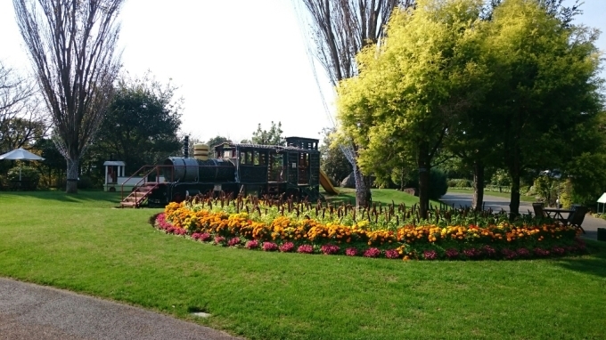 e0322827_14541658.jpg