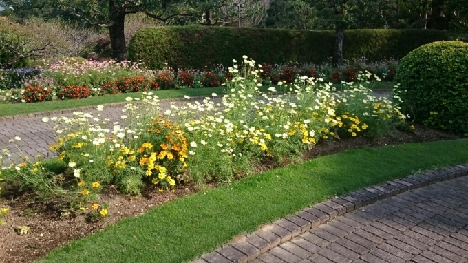 e0322827_14543017.jpg