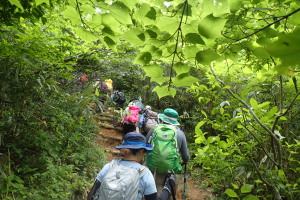 e0200734_9584546.jpg