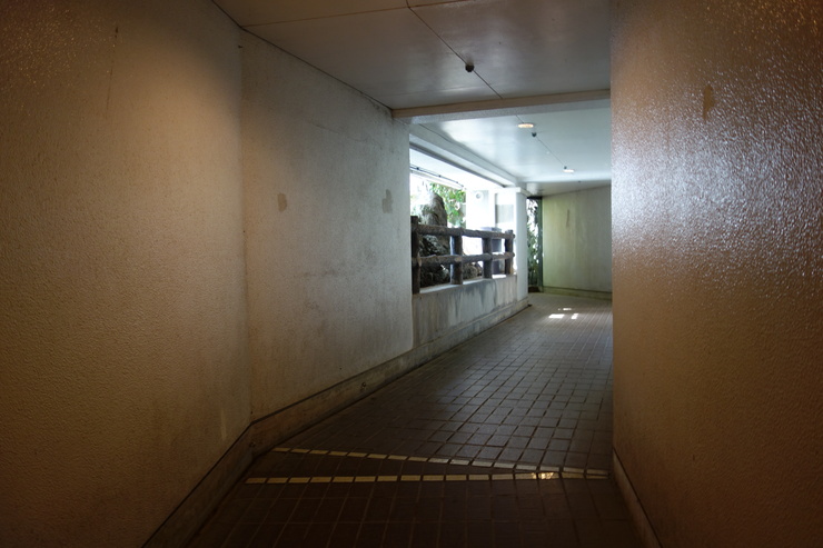 a0287336_162115.jpg