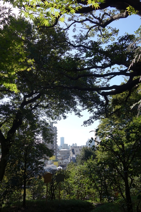 a0287336_16274029.jpg