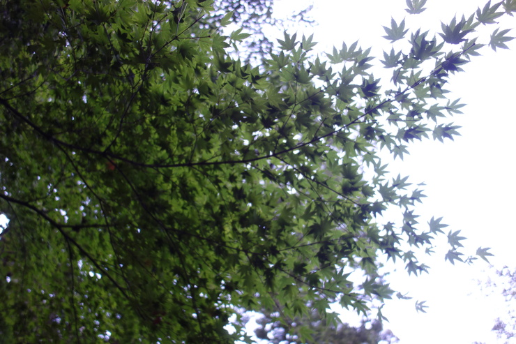 a0287336_16501757.jpg