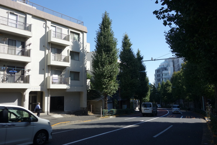 a0287336_1719314.jpg