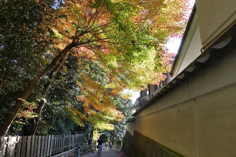 虎渓山永保寺の紅葉_b0286737_06025072.jpg