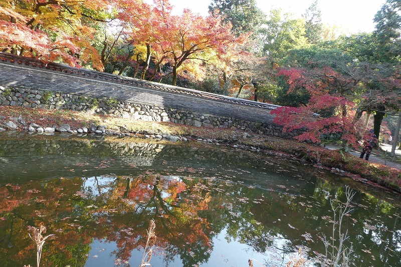 虎渓山永保寺の紅葉_b0286737_06050135.jpg