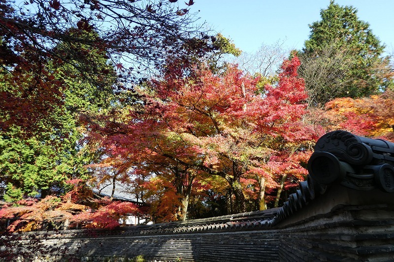 虎渓山永保寺の紅葉_b0286737_06061355.jpg