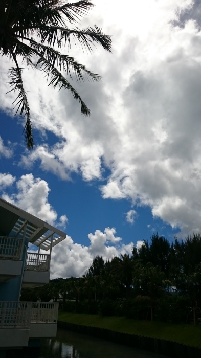 d0344038_16105175.jpg