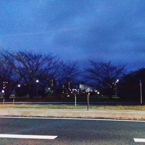 a0014840_2010543.jpg