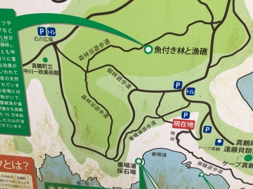 b0330040_14581565.jpg