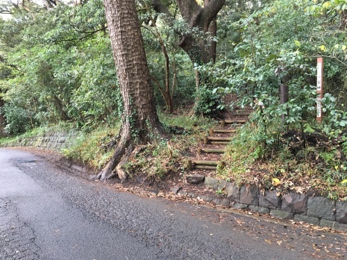 b0330040_15042652.jpg