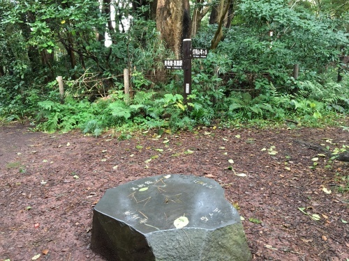 b0330040_15060676.jpg