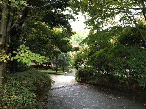 b0330040_20131215.jpg