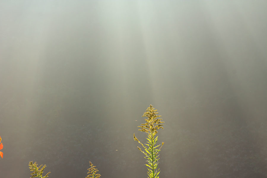 c0067040_22513023.jpg