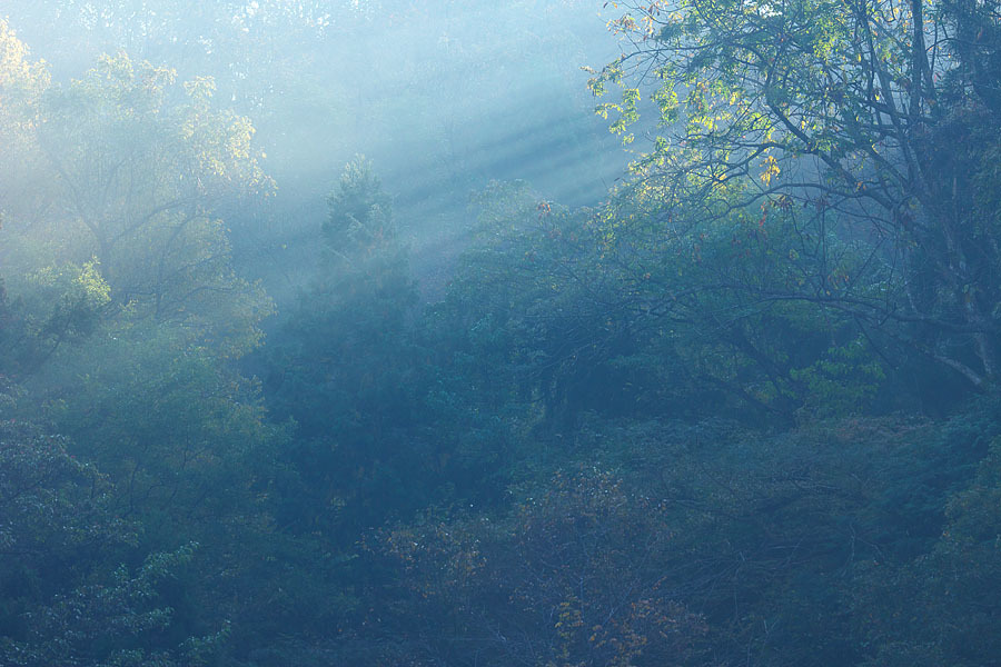 c0067040_22514257.jpg