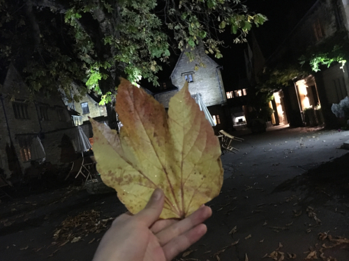 c0206446_04422364.jpg