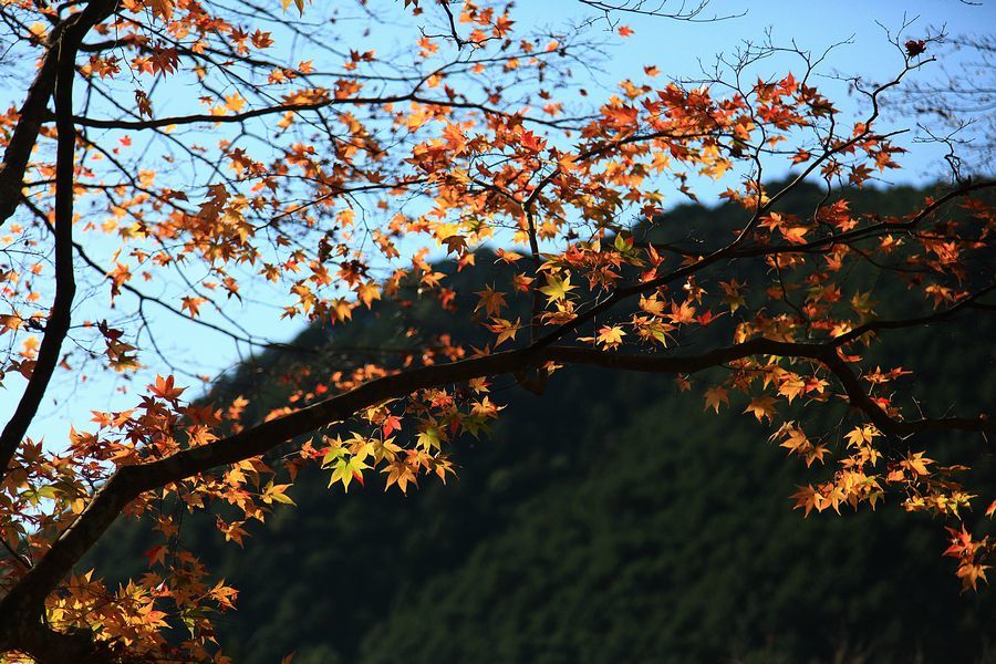 f0254247_17293209.jpg