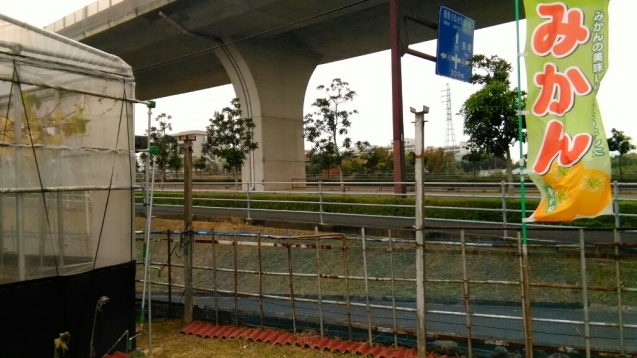 b0335550_18432525.jpg