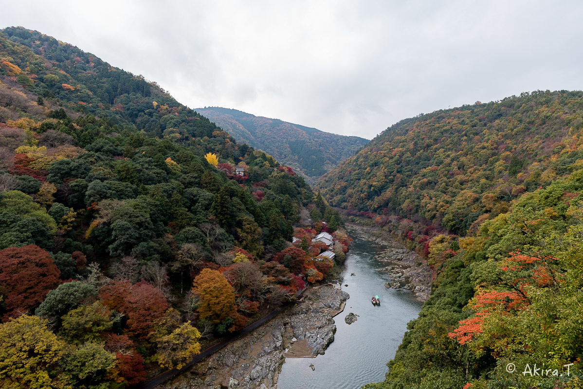 京都の紅葉 2016 〜10〜_f0152550_22153708.jpg