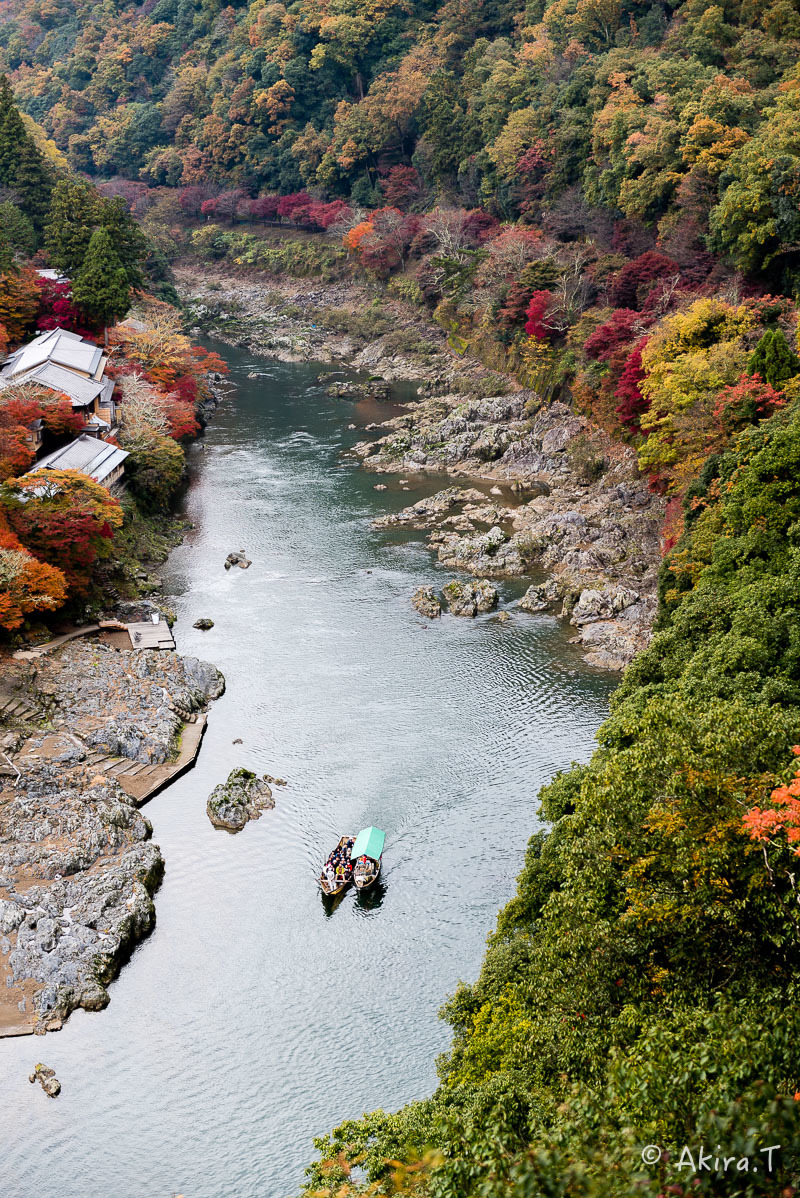 京都の紅葉 2016 〜10〜_f0152550_22155640.jpg