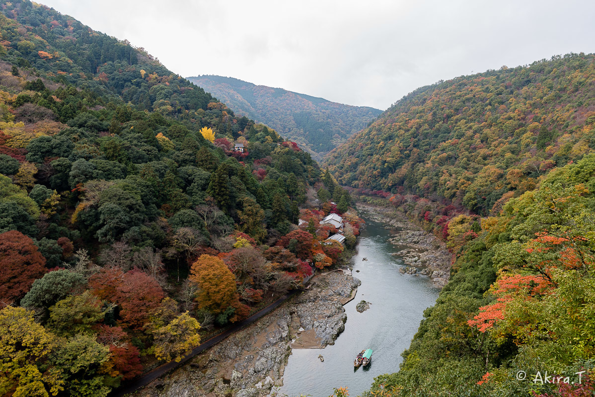 京都の紅葉 2016 〜10〜_f0152550_22161123.jpg