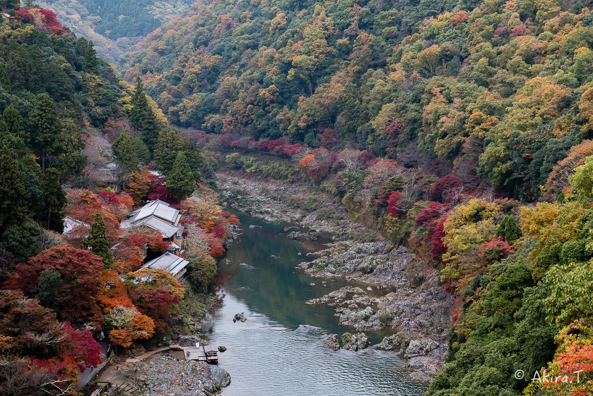 京都の紅葉 2016 〜10〜_f0152550_22163027.jpg