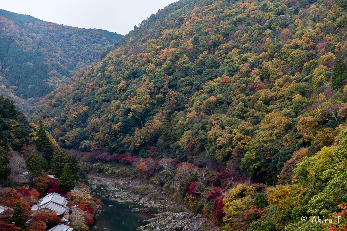f0152550_22171921.jpg