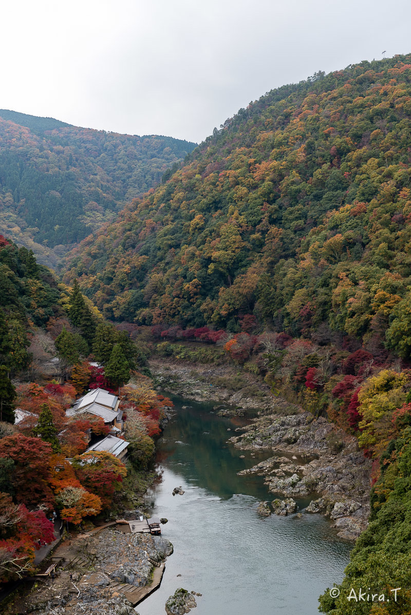 京都の紅葉 2016 〜10〜_f0152550_22175258.jpg