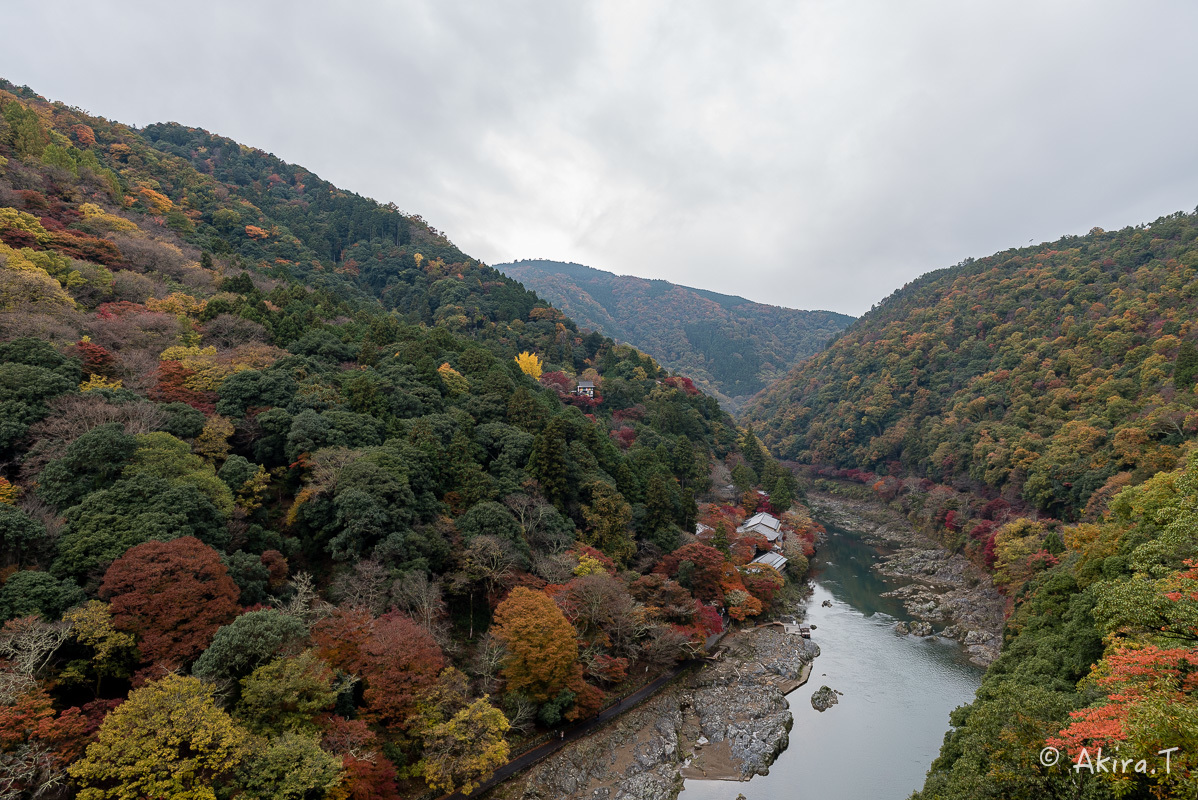 京都の紅葉 2016 〜10〜_f0152550_22181138.jpg