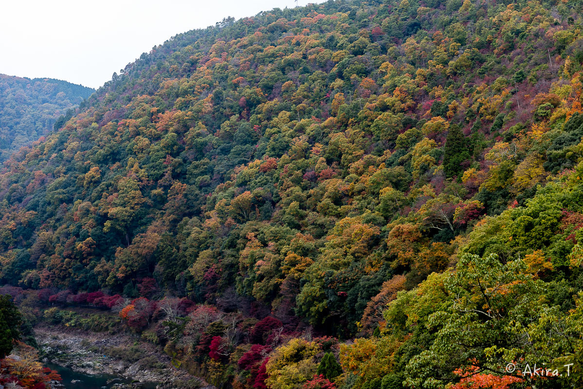 京都の紅葉 2016 〜10〜_f0152550_22182769.jpg