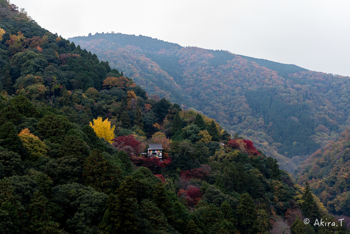 京都の紅葉 2016 〜10〜_f0152550_22184197.jpg