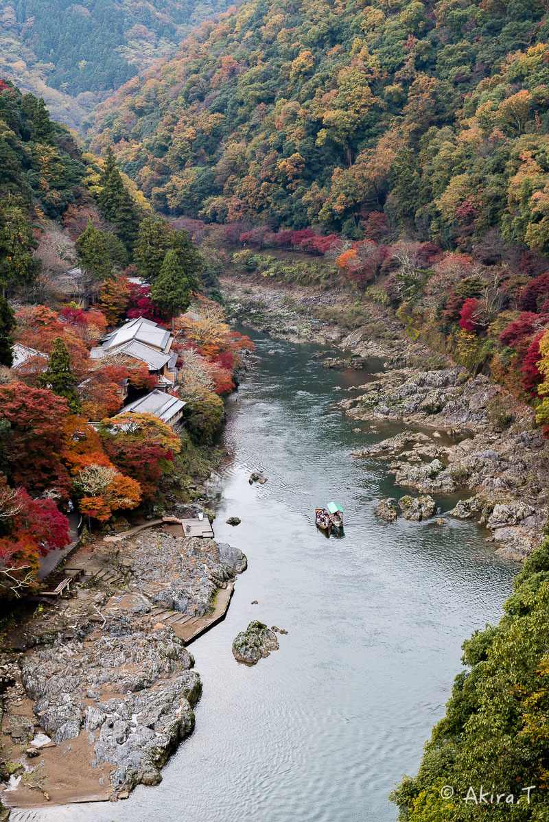 京都の紅葉 2016 〜10〜_f0152550_22185991.jpg