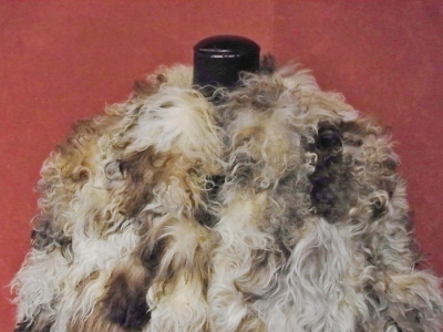a0159652_13441760.jpg